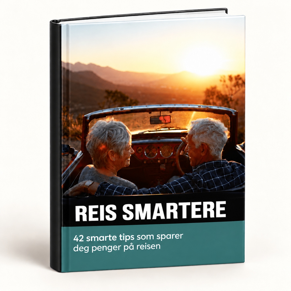 SitteBris ebook